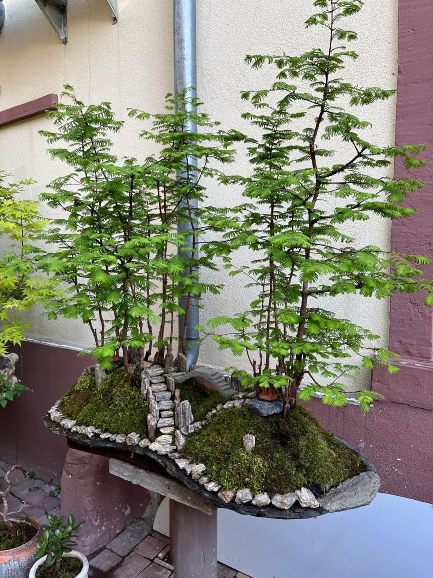 Trang Hotel Rastatt Eksteriør bilde